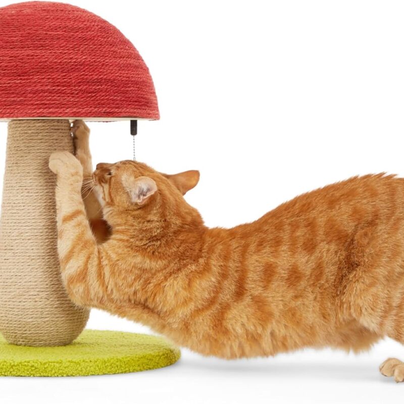 EveryYay Toadstool Scratch Post for Cats