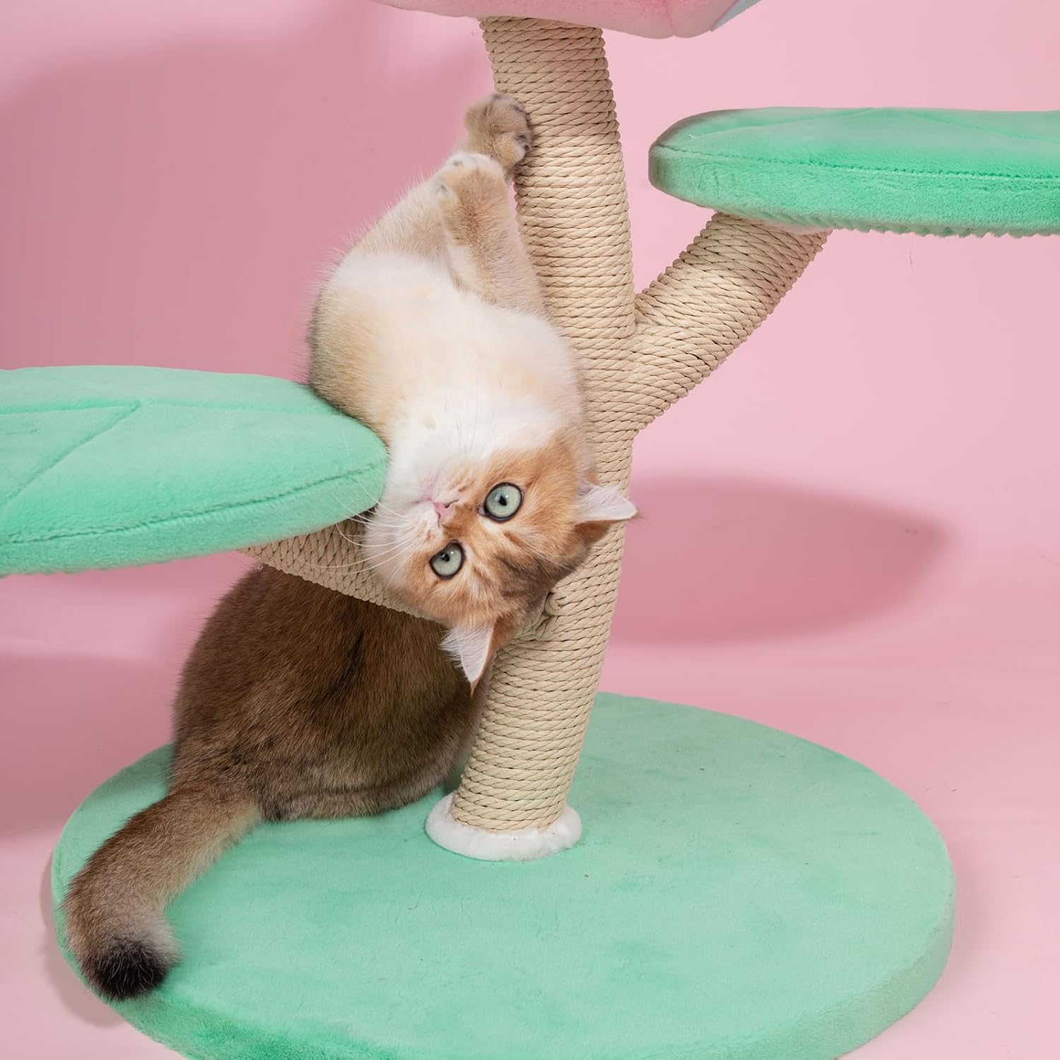 715k17b-jsL._AC_SL1500_.jpg Happy&Polly Piranha Flower Cat Tree - 31.5 inch Monster World Cat Tree with Cozy Carnivore Cove, Multiple Platform and Sisal-Wrapped Trunk - Image 4