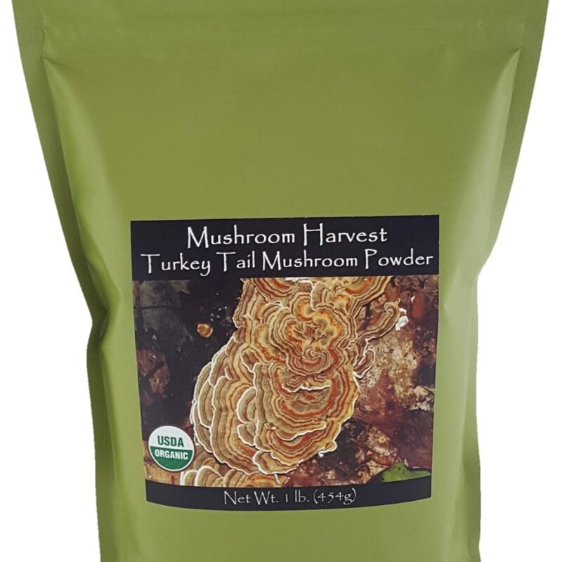 Turkey Tail/Coriolus Versicolor Full Spectrum Mushroom Powder Certified Organic 1lb. (454g) Bulk