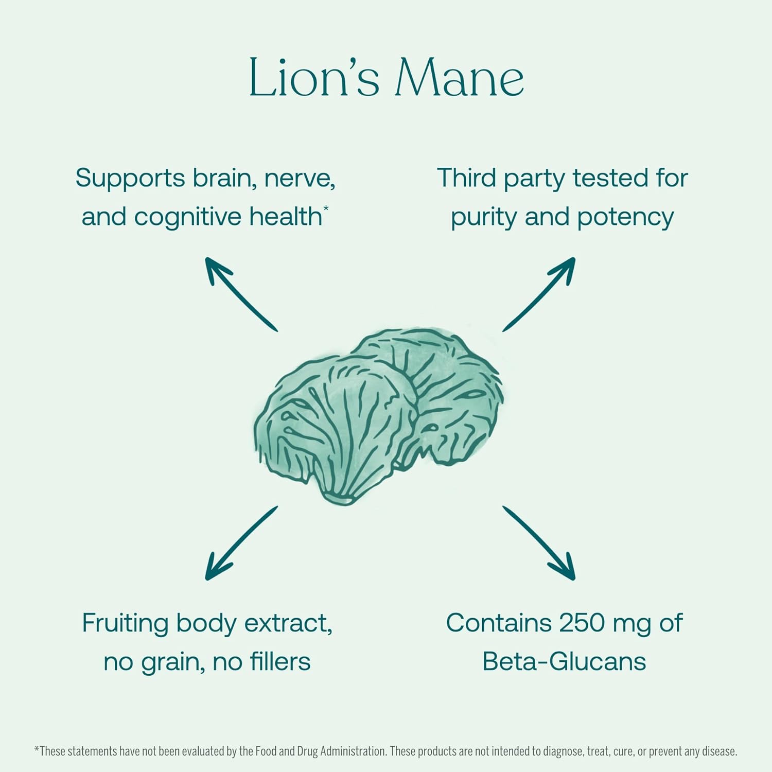 716d3iEVy3L._AC_SL1500_.jpg True Grace Mushroom Lion's Mane Brain, Nerve & Cognitive Support - 120 Count Capsules - Organic - Image 5