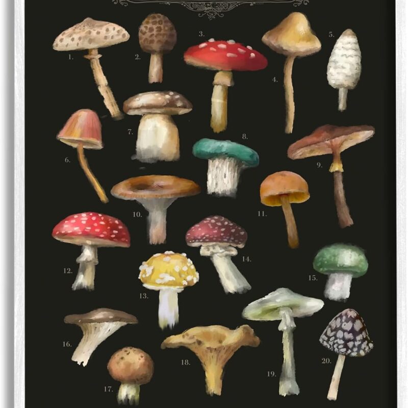 Stupell Industries Dark Informative Mushroom Chart Framed Giclee Art, Design by Amylee Weeks