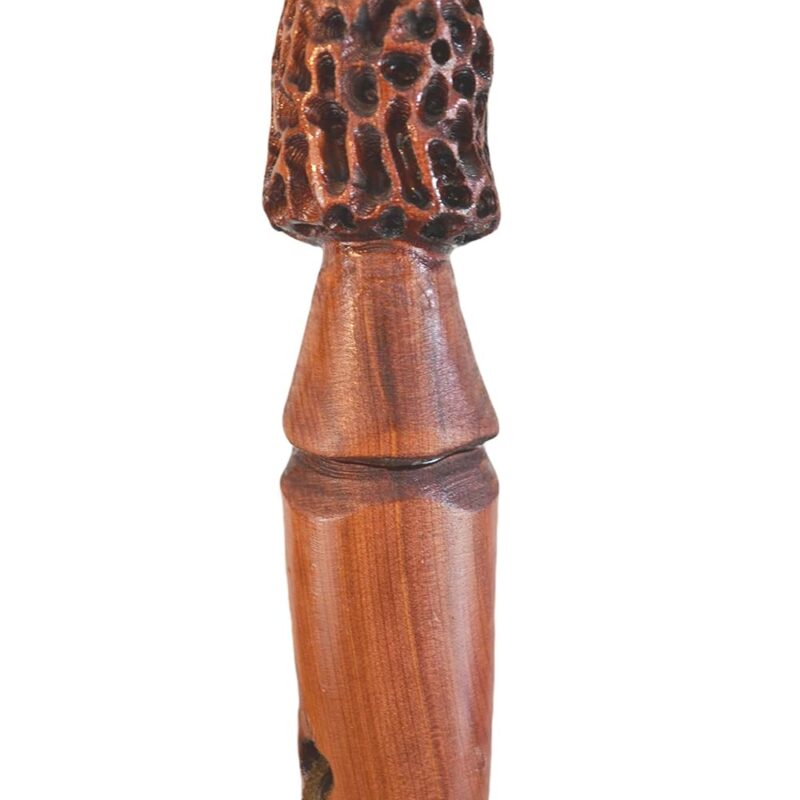 Morel Mushroom Walking Stick, Mushroom Hunting Stick, Cedar 60" by Creation Carvings