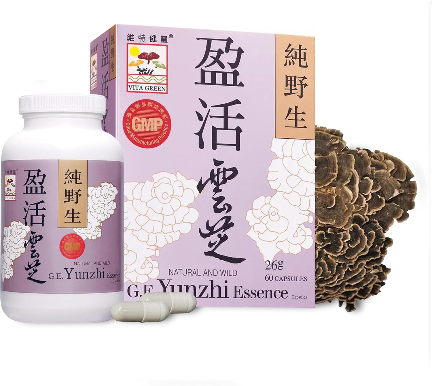 71AnSP7meKL._AC_SL1500_.jpg Vita Green Turkey Tail Mushroom – Yunzhi Essence for Recovery and Wellness – Immune and Digestive Support with Antioxidants – High Beta-Glucan Extracts for Health and Comfort (60 Capsules)