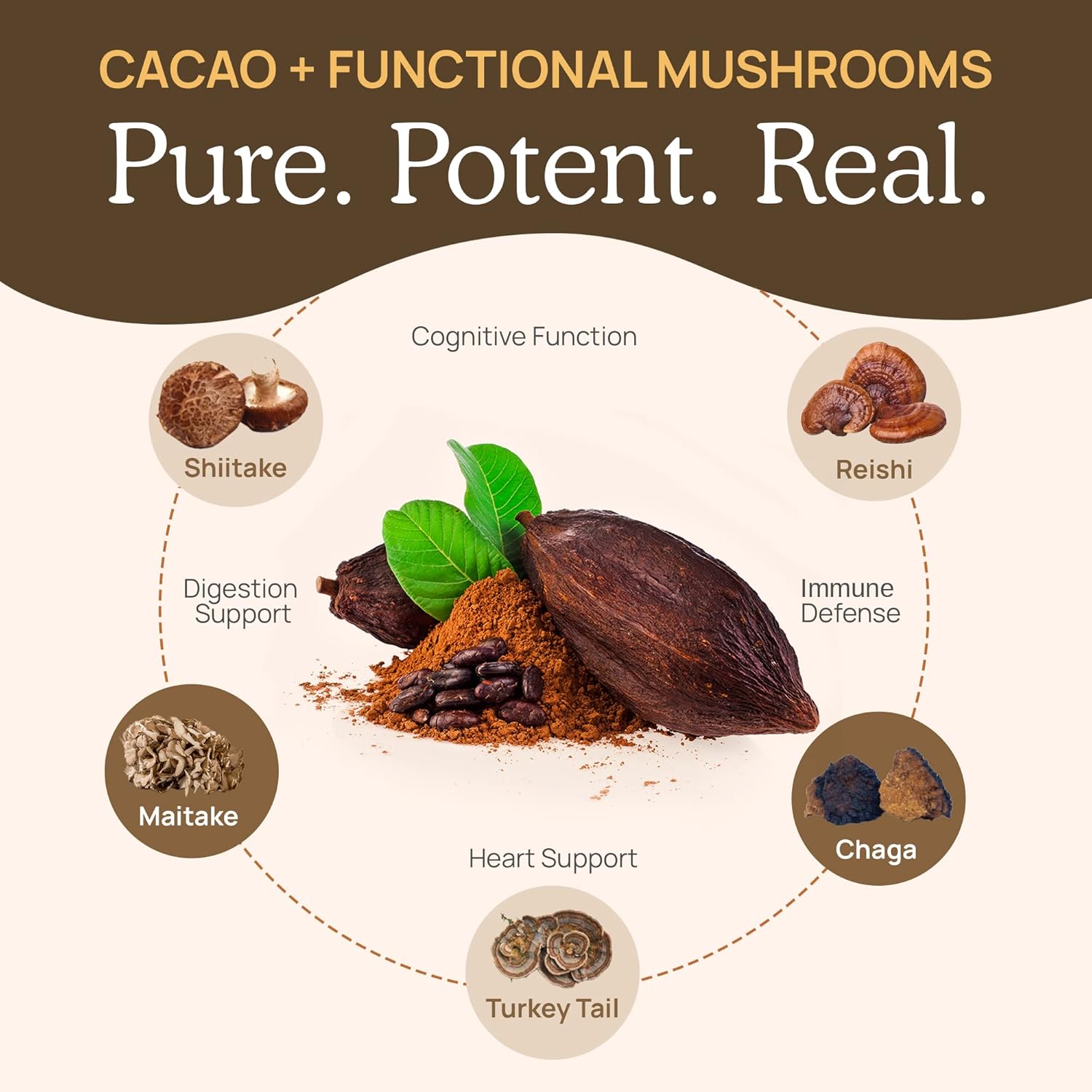 71JIMA1IoHL._AC_SL1500_.jpg Real Mushrooms Hot Chocolate Mix (15 Servings) and Lion’s Mane (60 Servings) Powder Bundle - Mushroom Powder Supplement for Daily Immunity & Cognition Support - Gluten-Free, Non-GMO, Vegan - Image 3