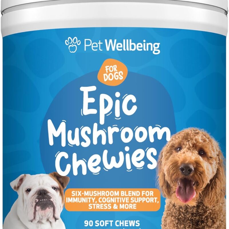 Pet Wellbeing Epic Mushroom Chewies for Dogs - Immune Support, Cognitive Health, Adaptogenic Stress Support with Reishi, Chaga, Lion's Mane Functional Mushrooms - Veterinarian-Formulated 90 Soft Chews