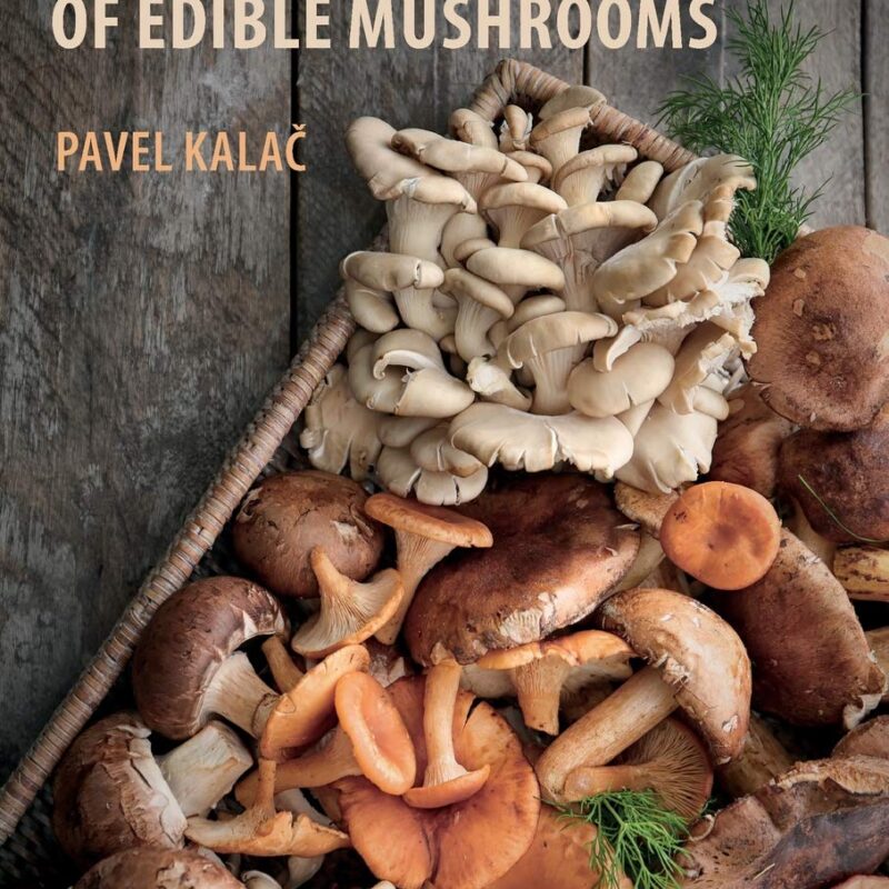 Mineral Composition and Radioactivity of Edible Mushrooms