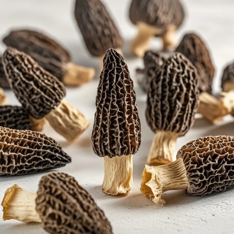 Premium Dried Morel Mushrooms, 6 oz, Whole Caps with Stems, Gourmet Cooking Grade