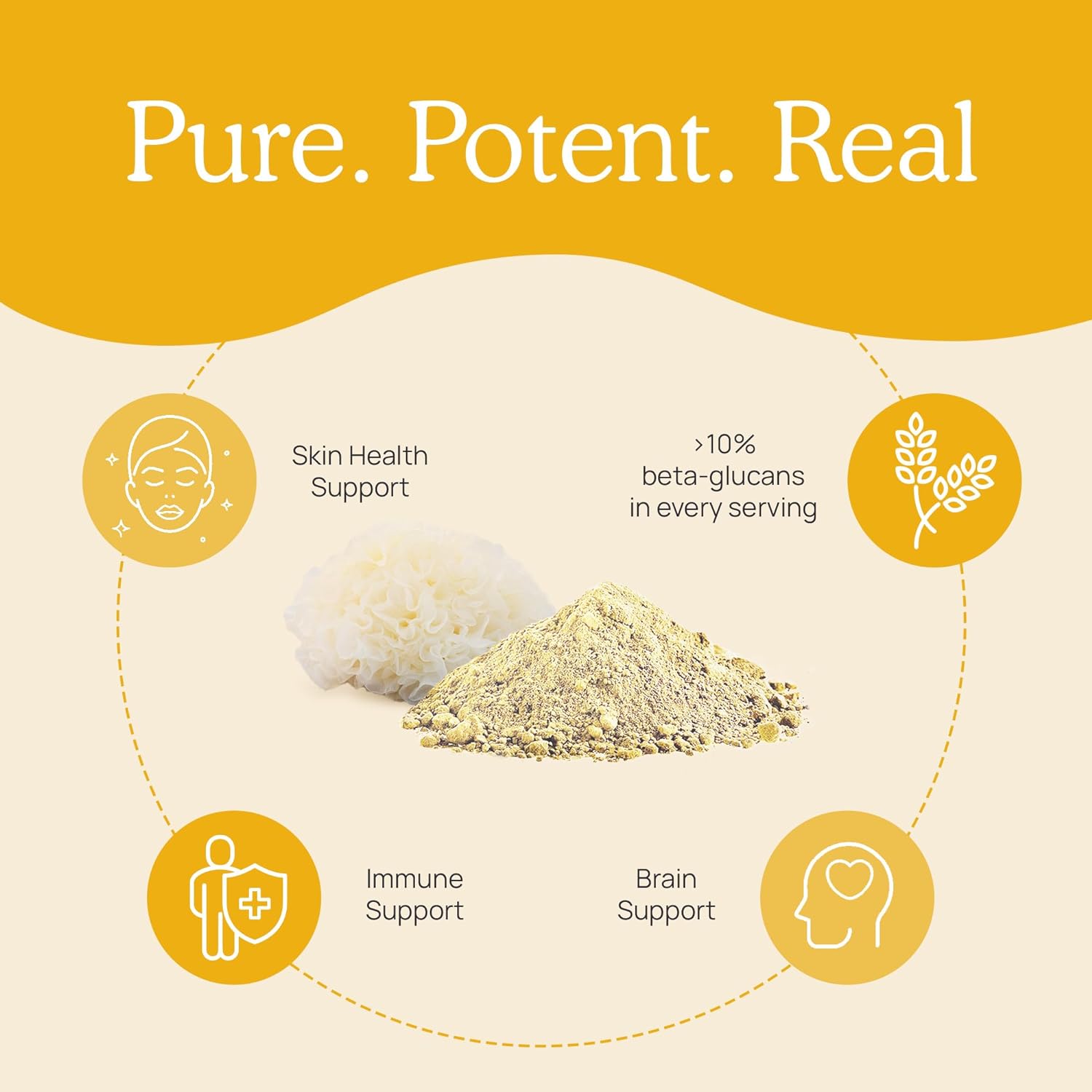 71RE9ZjDQsL._AC_SL1500_.jpg Real Mushrooms Tremella Mushroom Extract Powder 150 Servings Blend for Immune Support, Brain, and Skin - Vegan, Non-GMO, Organic Supplements Humans Support Supplement - Image 3
