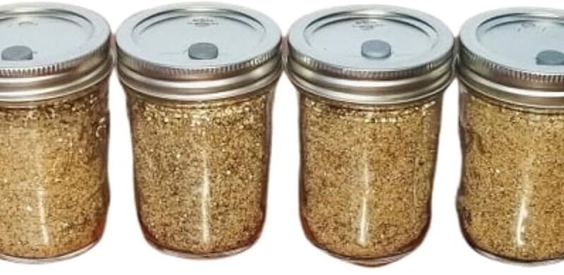 6 Jars BRF PF Tek Brown Rice Flour Mushroom Substrate - Half Pint Jars with Injectable Ports