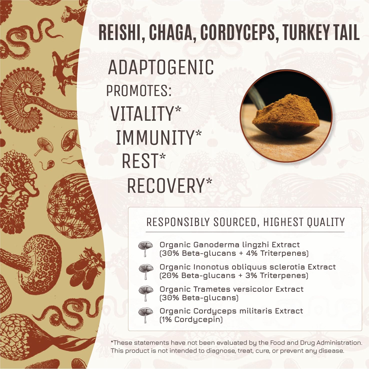 71VM-B9IMBL._AC_SL1476_.jpg Hamilton’s Body Blend | Chaga, Cordyceps, Reishi, Turkey Tail | Organic Mushroom Extract Powder for Immune, Endurance, and Stress Support | High Potency | 30% Beta Glucans | GF, Non-GMO, Vegan (500g) - Image 3