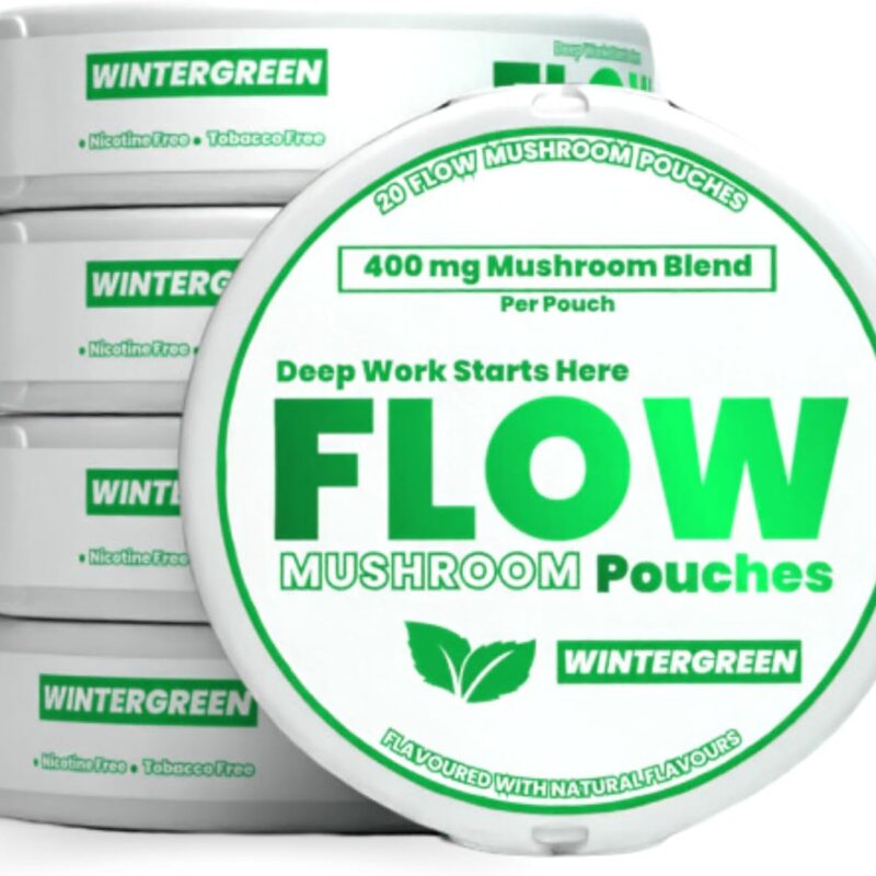FlowPouches Mushroom pouches - Focus & Energy, Fresh Mint, Lions mane Cordeyceps Blend, Caffeine Free, 20 Pouches, Cognitive Support, 100% Natural Ingredients, 5 Pack of Cans (5 Can Pack, Wintergreen)