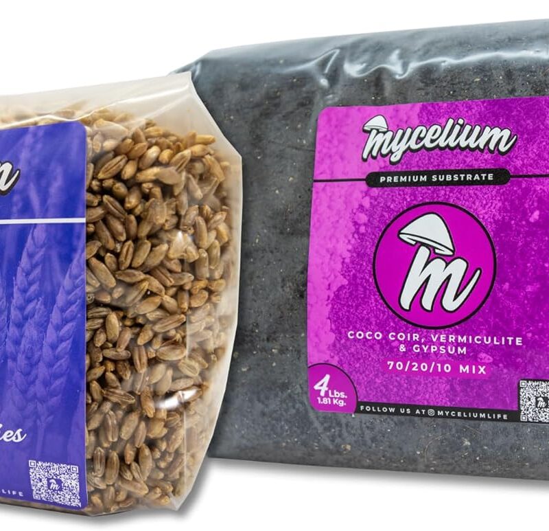 Mycelium's Dung-Loving Mushroom Monotub Bundle - 4LB CVG & 2LB Rye Berries Grain | Expertly Prepared for Peak Mycelium Growth | Nutrient-Dense for Home Growers | Sterile Bags for Beginners & Pros