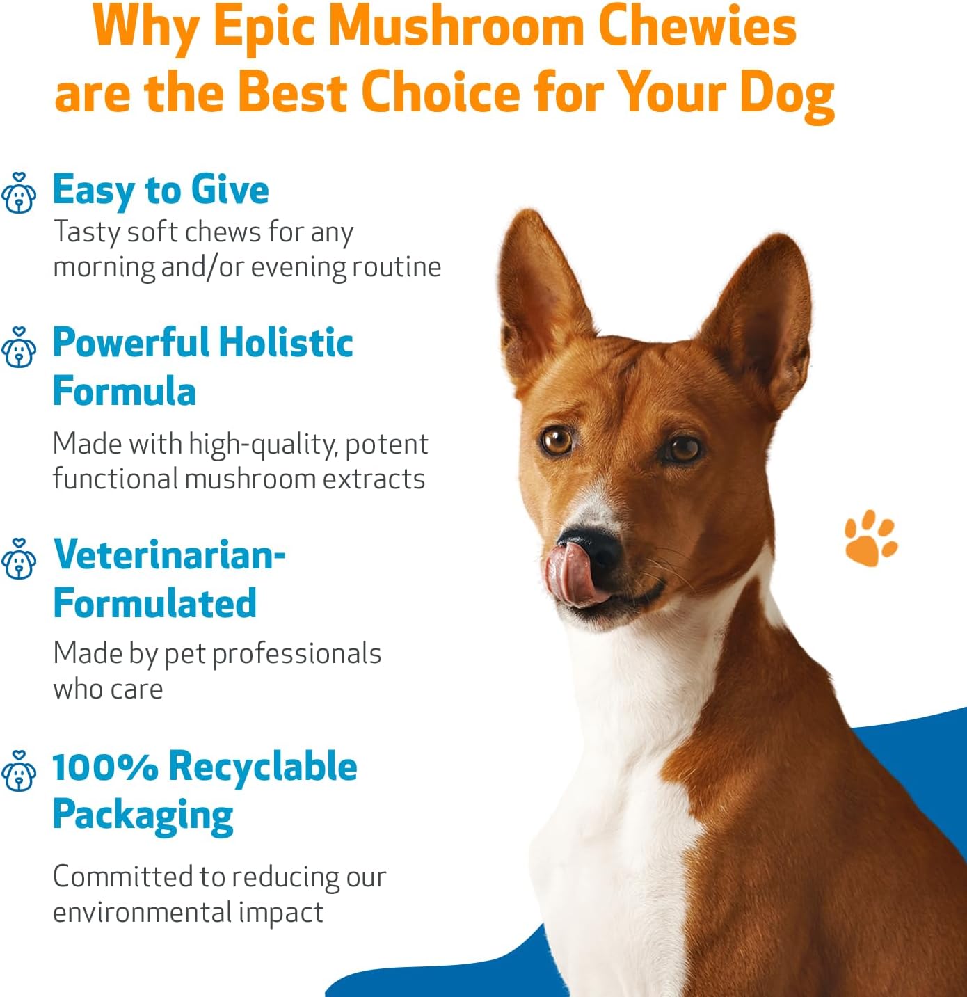 71Z041NMjGL._AC_SL1500_.jpg Pet Wellbeing Epic Mushroom Chewies for Dogs - Immune Support, Cognitive Health, Adaptogenic Stress Support with Reishi, Chaga, Lion's Mane Functional Mushrooms - Veterinarian-Formulated 90 Soft Chews - Image 4