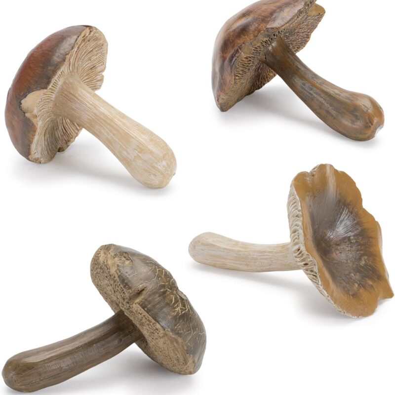 Mushroom Shelf Sitter Figurines - 3" - Club Pack of 12