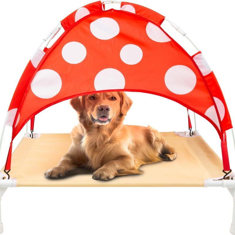 BigMouth Inc Elevated Canopy Bed for Dogs, Raised Outdoor or Indoor Pet Cot - Mushroom, Large Size