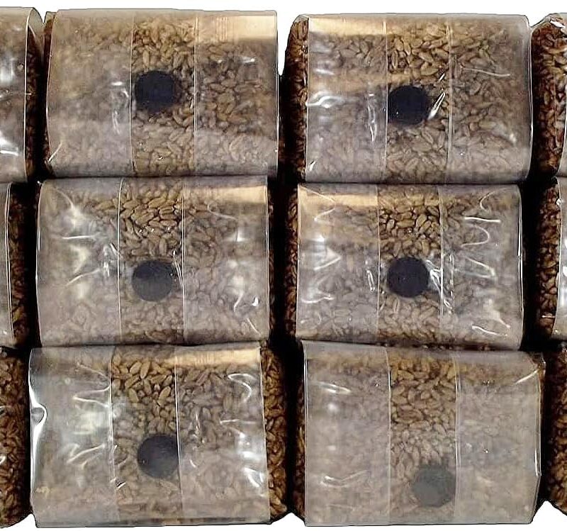 Sterilized Rye Berry Mushroom Substrate with Self Healing Injection Port (12)