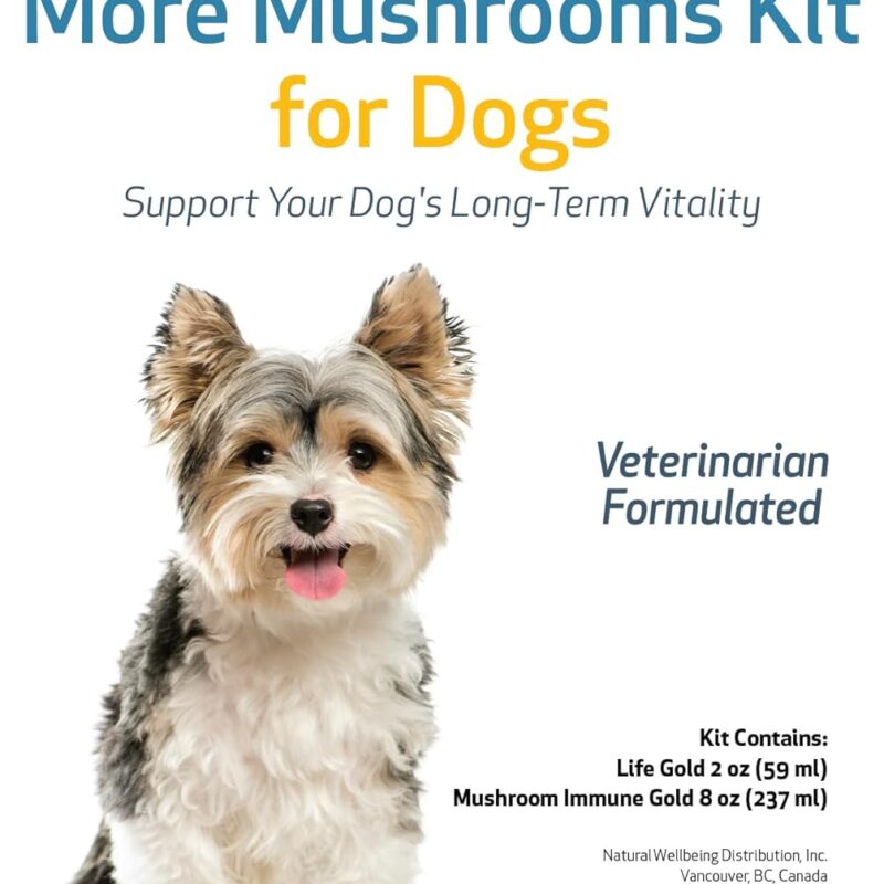 Pet Wellbeing More Mushrooms Kit for Dogs - Immune System Support and Antioxidant Protection - Vet-Formulated with Turkey Tail, Reishi, Maitake, Astragalus