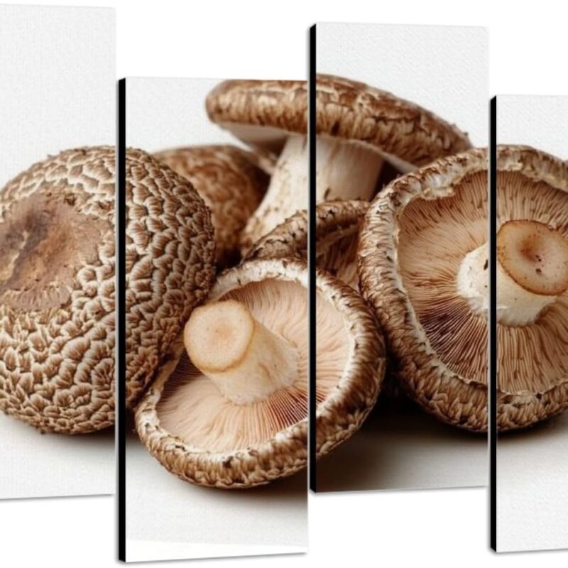 Canvas Wall Art Shiitake mushroom Photo Prints Realism Stretched & Framed Artworks Modern Wall Decor for Living Room Bedroom Office