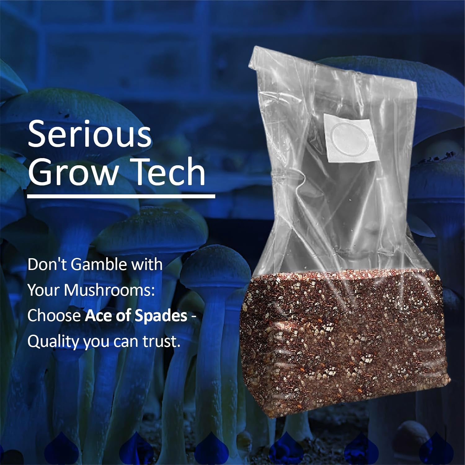 71jymd5iKiL._AC_SL1500_.jpg 50 Ace of Spades Premium Quality Mushroom Spawn Filter Grow Bags. 8mil Polypropylene Heaviest Duty, Won't Break, Extra Large 20" x 8" x 5" - Image 6