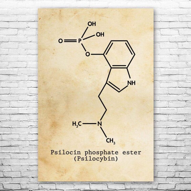 Psilocybin Molecule Poster Print, Magic Mushrooms, Psilocybin Art, Stoner Gift, Hippie Gifts, Shrooms Art Print Vintage Paper (20 inch x 24 inch)