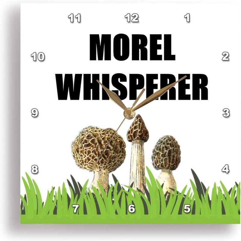 3dRose Wall Clock Silent - 15 inch - Morel Whisperer - Funny Mushroom Foraging Forager Hunter Hunting Humor - Food Designs