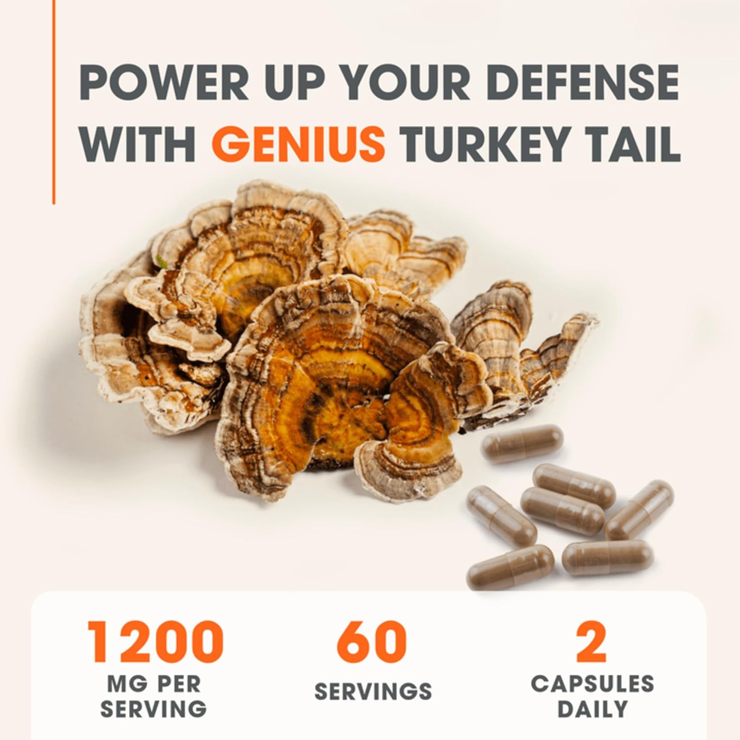 71p2g4XXCuL._AC_SL1500_.jpg The Genius Brand Immunity & Energy Bundle: Turkey Tail & Genius Mushroom Supplement Stack - Image 8