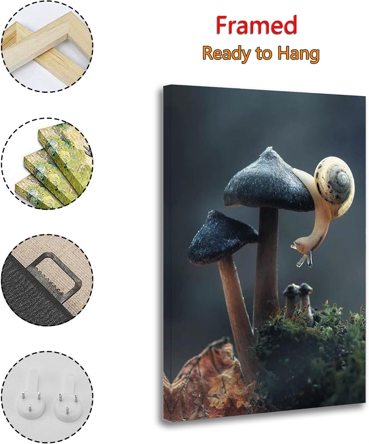 71pPO6FJo2L._AC_SL1500_.jpg Snail on Mushroom Poster Prints Nature Botanical Photography Canvas Poster Decorative Painting Canvas Wall Art Living Room Posters Bedroom Painting 16x24inch(40x60cm) - Image 2