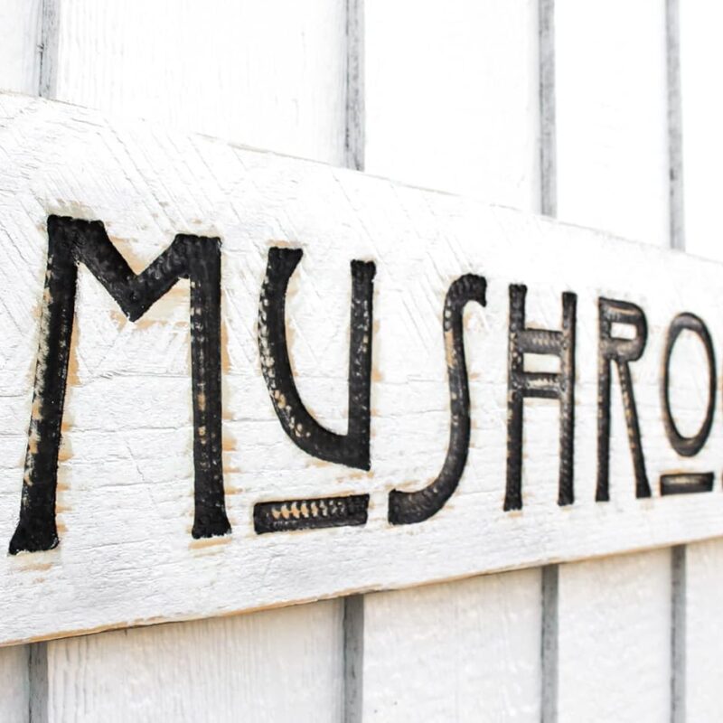 Mushrooms Sign - Carved in a 40" x 8" Solid Wood Board | Rustic Distressed | Farmhouse Style | Handmade in NC
