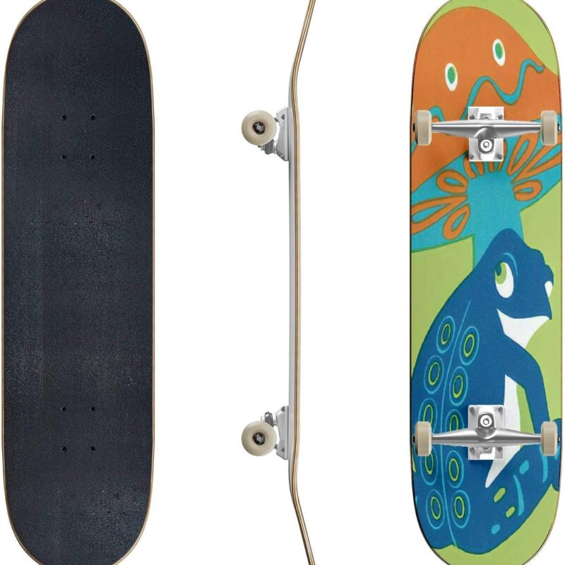 Skateboards Mushroom and Frog Cool Stock Illustrations Classic Concave Skateboard Cool Stuff Teen Gifts Longboard Extreme Sports for Beginners and Professionals