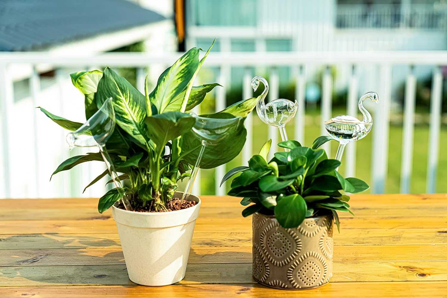 81-FMnbvL._AC_SL1500_.jpg Kingbuy 4 Mushroom Watering Globes and 4 Bird Shape Glass Plant Watering Bulbs for Plants - Image 6