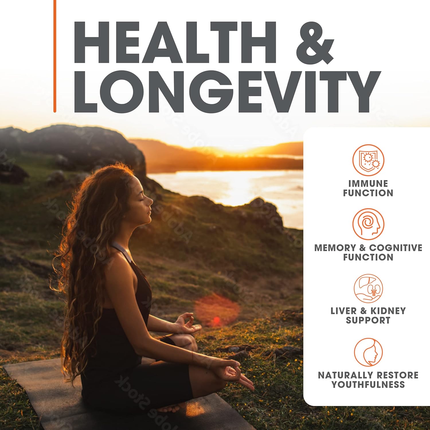 81-ExzIPoIL._AC_SL1500_.jpg The Genius Brand Immunity & Energy Bundle: Turkey Tail & Genius Mushroom Supplement Stack - Image 4