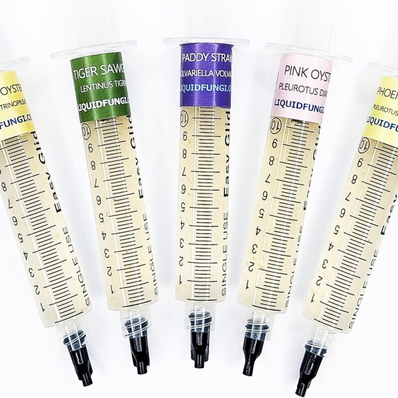 Liquid Culture Syringe 5 Pack - Warm Weather Mushroom Mycology Starter Pack - Grow warm weather mushrooms on agar, grain, straw, or standard master mix hardwood blocks