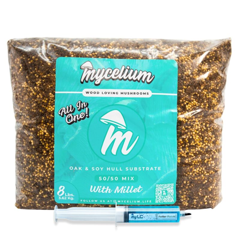 Mycelium Mushroom Growing Kit, Antler Reishi Gourmet I Oak & Soy Hull Substrate I High Yield Proprietary Mix I Sterile Grow Bag with 60ml Liquid Culture Syringe for Starter & Pro Home Growers, 8lbs