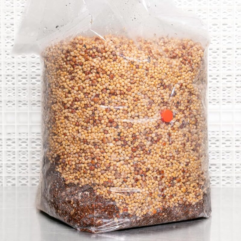 All in One Coir Mushroom Grow Bag | OMRI Certified for Organic Use | Grow Over 1-2 lbs Fresh, 1.5-3.25 oz Dry | Coir, Vermiculite, Gypsum | for Use in Monotubs or Blocks (5 Pound, 2 Bags)