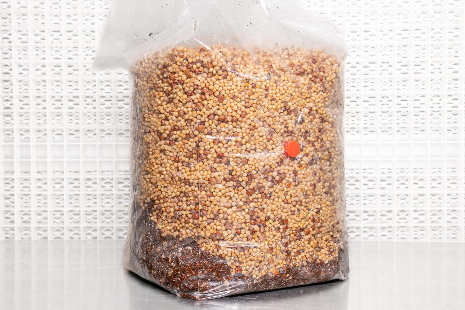 814ueCo4YL._AC_SL1500_.jpg All in One Coir Mushroom Grow Bag | OMRI Certified for Organic Use | Grow Over 1-2 lbs Fresh, 1.5-3.25 oz Dry | Coir, Vermiculite, Gypsum | for Use in Monotubs or Blocks (5 Pound, 2 Bags)