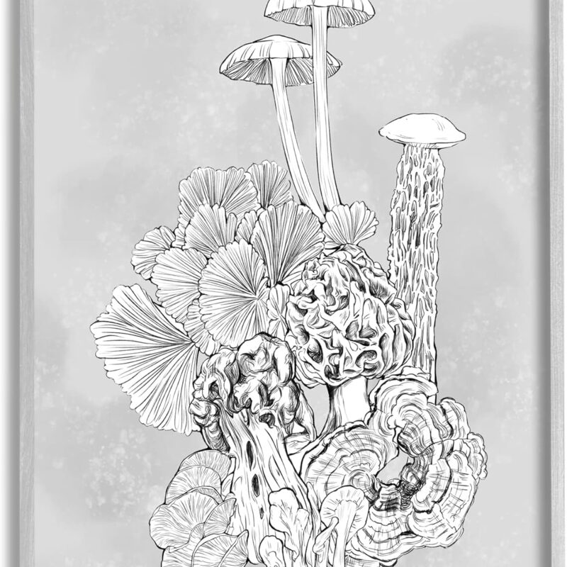 Stupell Industries Detailed Botanical Drawing Mushroom Proliferate Plant Study, Design by Ziwei Li