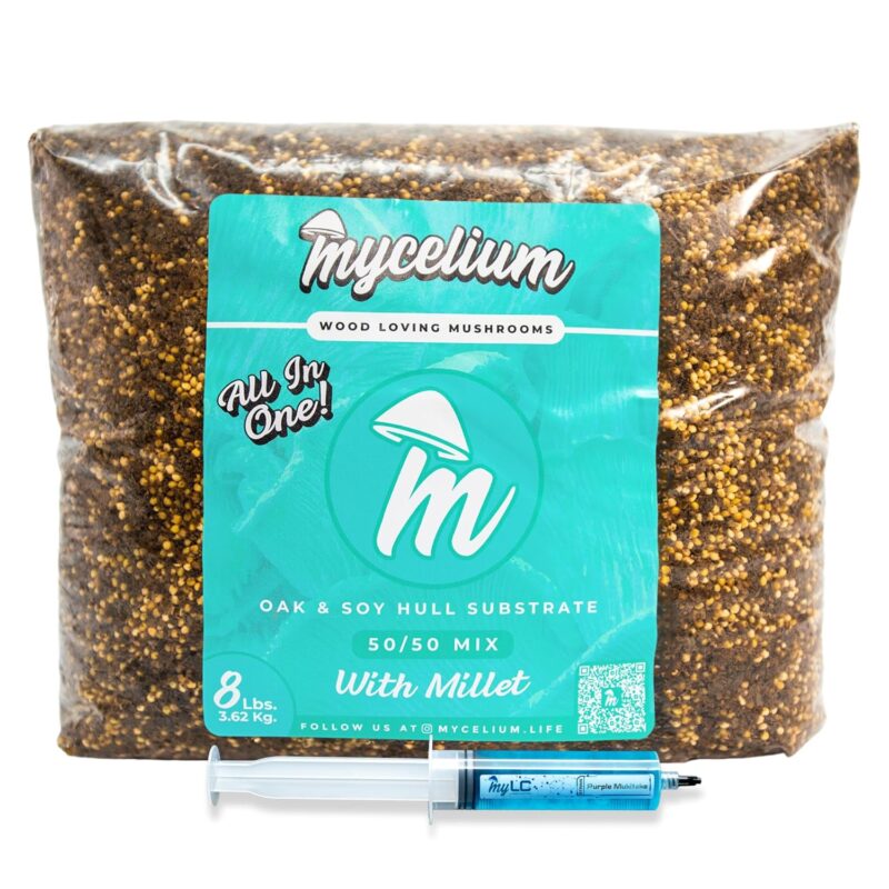 Mycelium’s Purple Mukitake Gourmet Mushroom Kit | 8LBS Oak & Soy Hull with Millet Blend | 20ML Liquid Culture Syringe | All-in-One Complete Cultivation Kit | Pre-Sterilized - Home Growing Made Easy