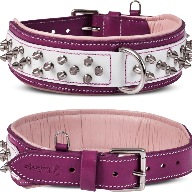 Spike Dog Collar | Spiky Series | Premium Genuine Bridle Leather, Heavy Duty, Padded, Strong | for Medium, Large, XL Breeds | Black Brown Color | 2" Wide (Magenta, Neck Size 14"-18")