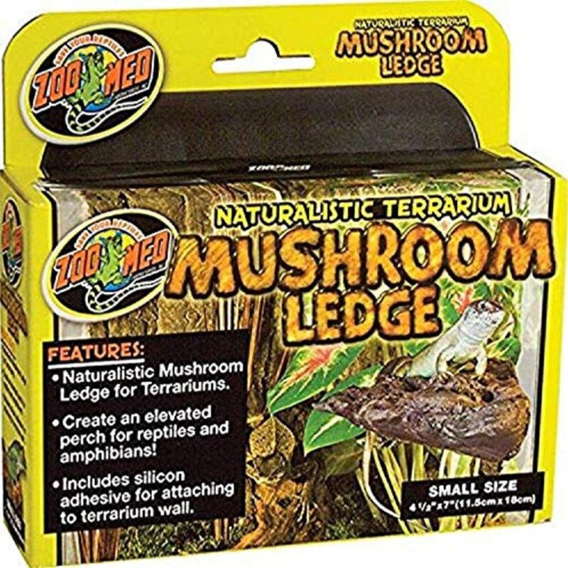 Zoo Med Naturalistic Terrarium Mushroom Ledge Small (7" Long x 4.5" Wide) - Pack of 6