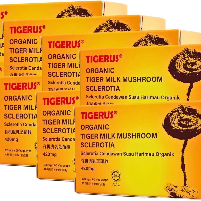 𝗧𝗜𝗚𝗘𝗥𝗨𝗦 Tiger Milk Mushroom (LiGNO TM02® Lignosus rhinocerus Sclerotia) Malaysia, Lung Respiratory Immune Support 420mg x 60 vegecap - 8 Boxes
