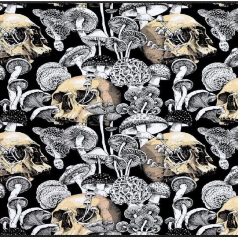 Black Mushrooms Golden Skulls Coral Fleece Large Area Rugs Soft Non Slip Floor Carpet Comfy Accent Rugs Machine Washable Indoor Home Decor for Living Room Bedroom Sofa 72x48in