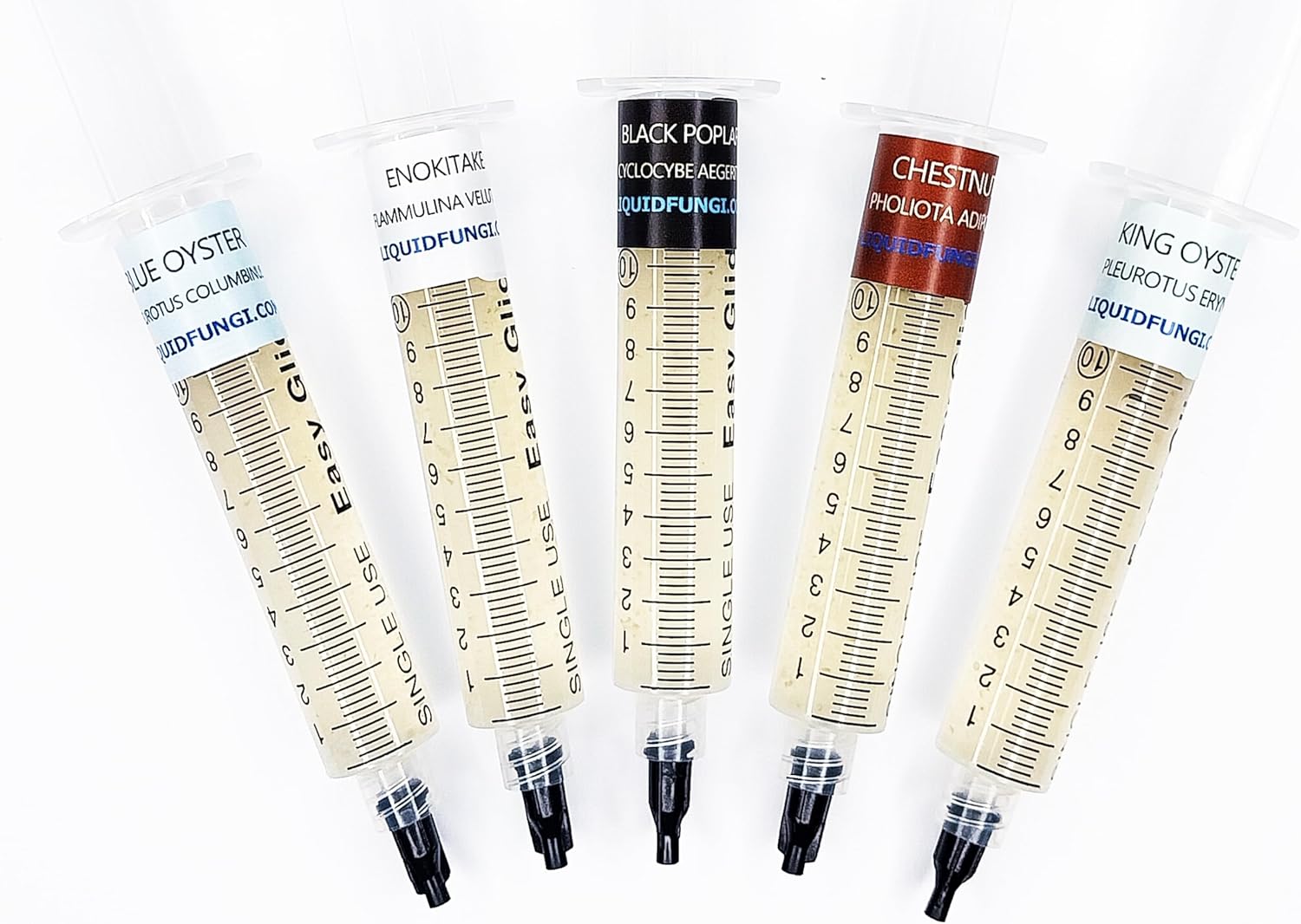 81XwaixQLLL._AC_SL1500_.jpg Liquid Culture Syringe 5 Pack - Cold Weather Mushroom Mycology Starter Pack - Grow cold weather mushrooms on agar, grain, straw, or standard master mix hardwood blocks