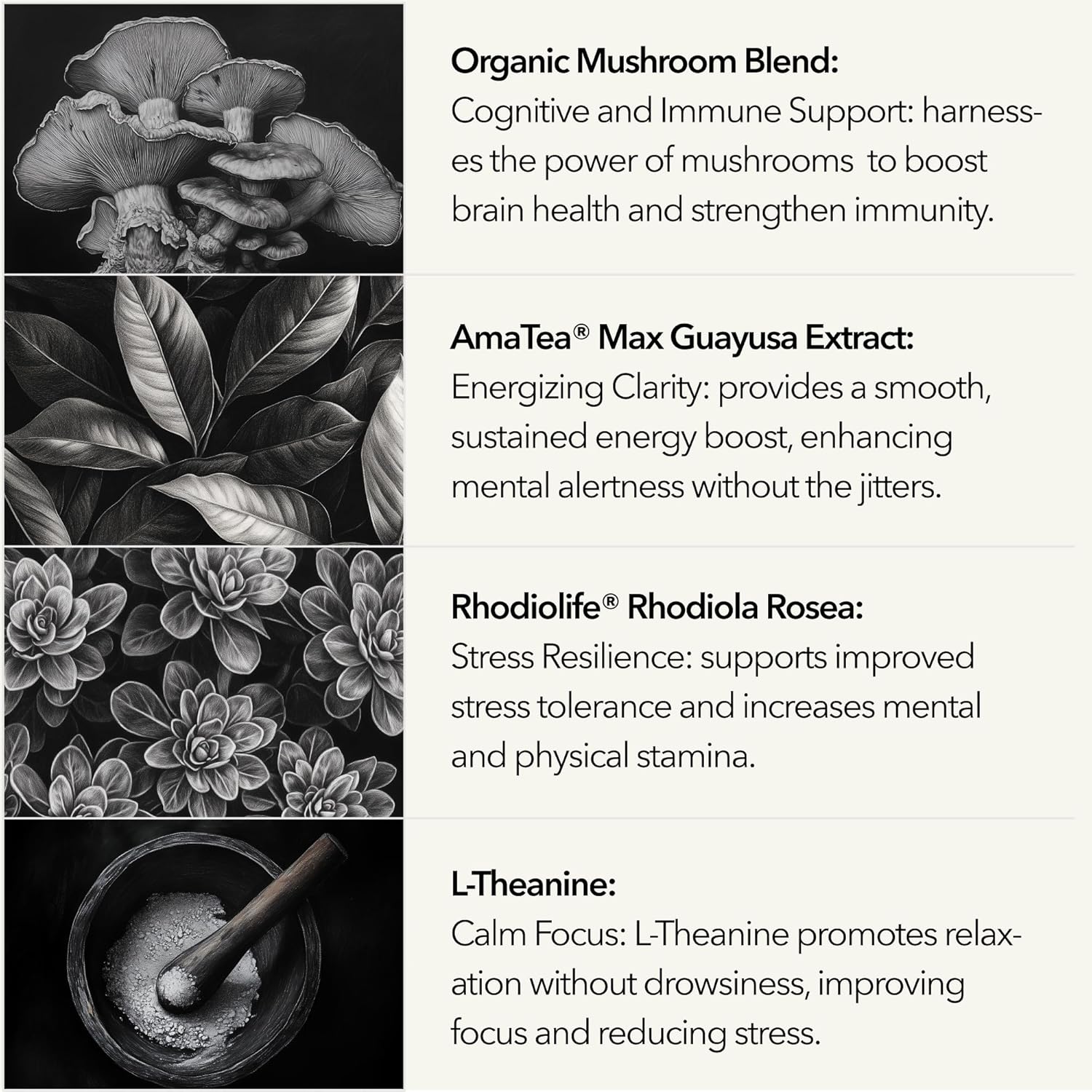 81aaD73Ii9L._AC_SL1500_.jpg Organic Mushroom Supplement with Cognitive Nootropic Mushroom Blend - Lion’s Mane, Cordyceps, Reishi, Chaga, Maitake + Amatea Max, Rhodiolife Rhodiola Rosea, L-Theanine + B-Vitamins, 30-Day Supply - Image 7