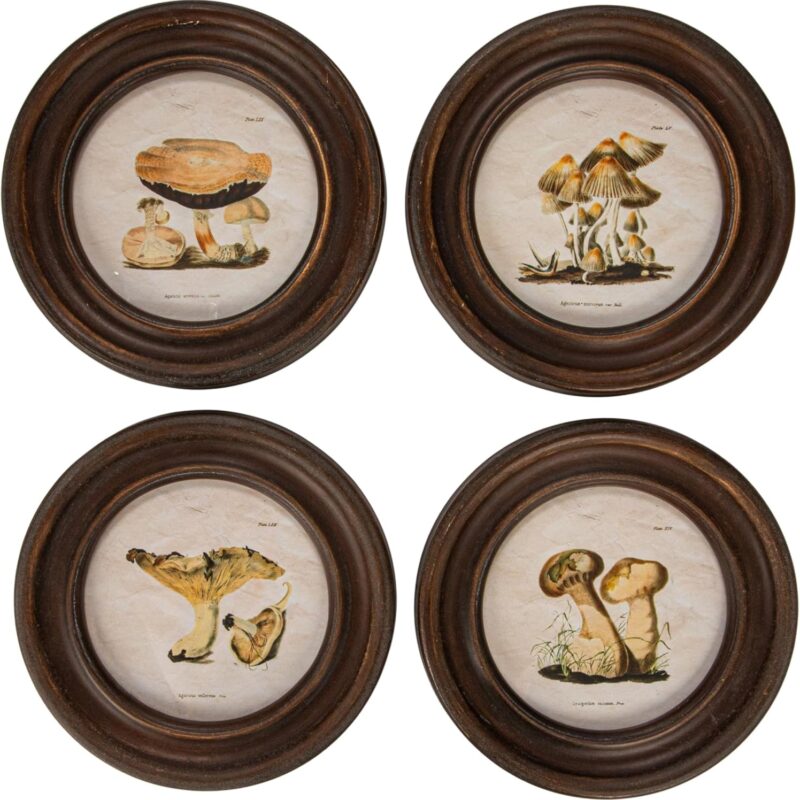 Creative Co-Op Round Reclaimed Wood Framed Mushroom Print Wall Art, Multicolor, Set of 4