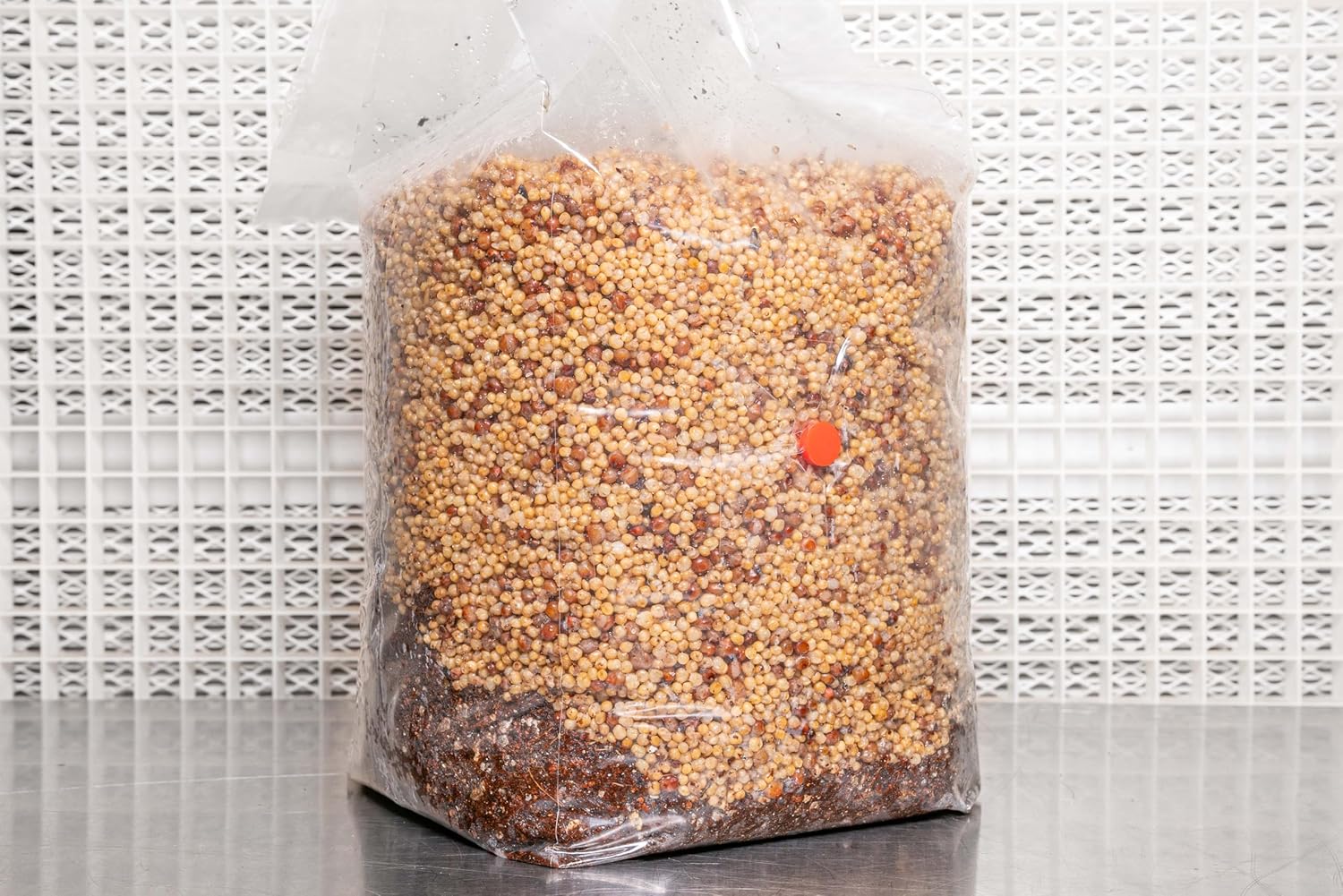 81hxzKE0yGL._AC_SL1500_.jpg All in One Coir Mushroom Grow Bag | OMRI Certified for Organic Use | Grow Over 1-2 lbs Fresh, 1.5-3.25 oz Dry | Coir, Vermiculite, Gypsum | for Use in Monotubs or Blocks (5 Pound, 2 Bags) - Image 4