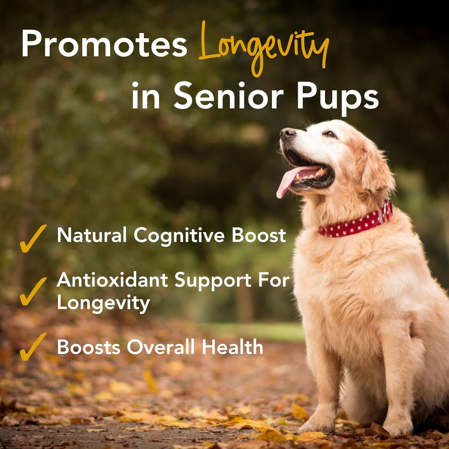 81i71XBDrnL._AC_SL1500_.jpg iHeartDogs Mushroom Gold Bone Broth and Senior Super 7 Daily Multivitamin for Dogs Bundle - Image 6