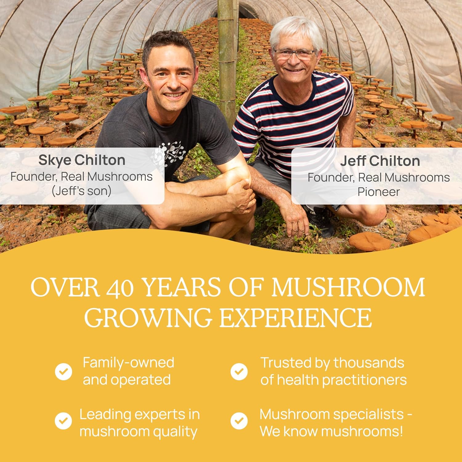 81nFAIu3uLL._AC_SL1500_.jpg Real Mushrooms Tremella Mushroom Extract Powder 150 Servings Blend for Immune Support, Brain, and Skin - Vegan, Non-GMO, Organic Supplements Humans Support Supplement - Image 5