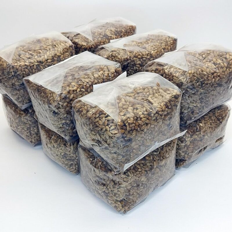 12 x 1 lb. Sterilized Rye Berry Mushroom Substrate Bags for Grain Spawn