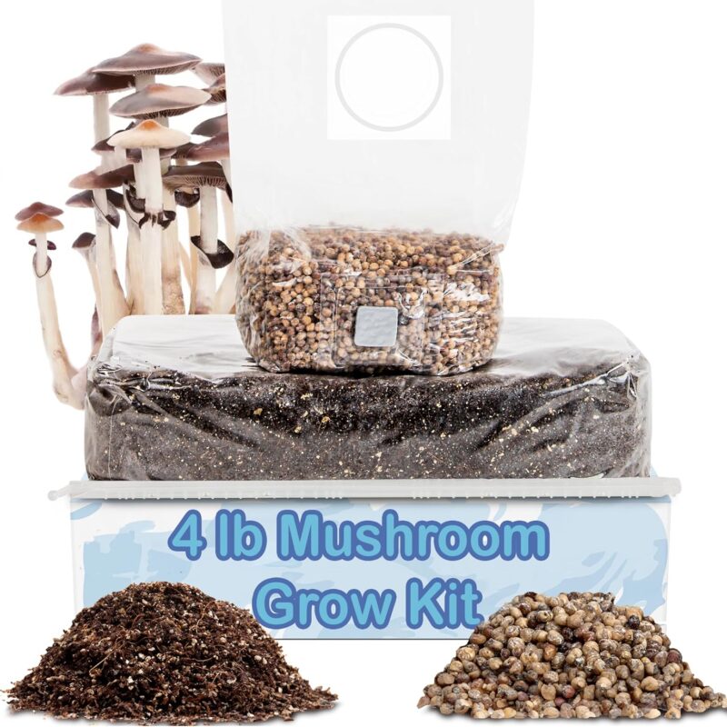 Surfin' Spores Mushroom Grow Kit | 4 lb Grow-in-Bag Kit/Monotub Refill | Includes: 1 lb Sterile Grain Bag with Injection Port & 3 lb Organic CVG Substrate | Spores Not Included (Two Pack)