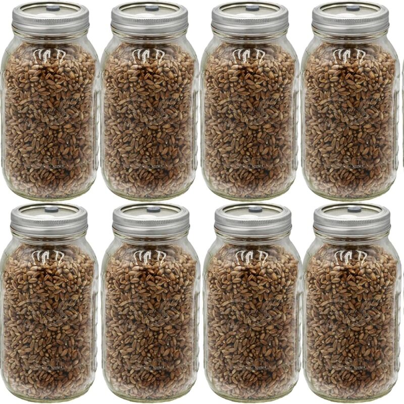 Sterilized Rye Berry Mushroom Substrate in Injectable Jars (12 Count)